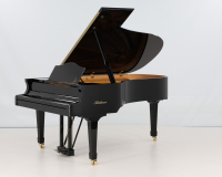Bluthner Model 4 - 2D image