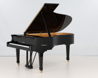 Bluthner Model 4 - 2D image