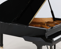 Bluthner Model 4 - 2D image