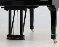 Bluthner Model 4 - 2D image