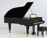 Bosendorfer 214VC Camellia 53257 - 2D image