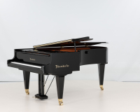 Bosendorfer 225 47273 - 2D image