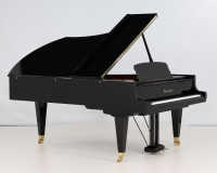 Bosendorfer 225 47273 - 2D image