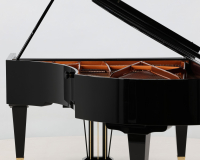 Bosendorfer 225 47273 - 2D image