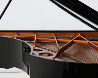 Bosendorfer 225 47273 - 2D image