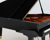 Bosendorfer 225 47273 - 2D image