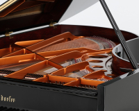 Bosendorfer 225 47273 - 2D image