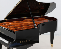 Bosendorfer 225 47273 - 2D image