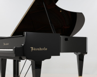 Bosendorfer 225 47273 - 2D image