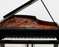 Bosendorfer 225 47273 - 2D image