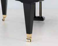 Bosendorfer 225 47273 - 2D image