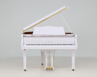 Hamlyn Klein MR8007 - 360° presentation