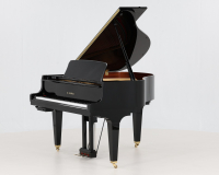 Kawai GL10 ATX-2 F165106 - 2D image