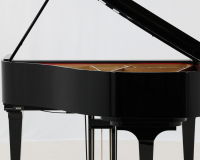 Kawai GL10 ATX-2 F165106 - 2D image