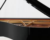 Kawai GL10 ATX-2 F165106 - 2D image