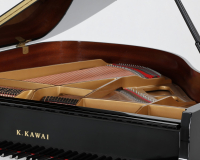 Kawai GL10 ATX-2 F165106 - 2D image