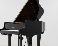 Kawai GL10 ATX-2 F165106 - 2D image