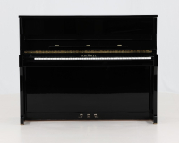 Schimmel 155 373.685 - 360° presentation