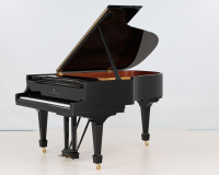 Steinay Model A  615587 - 2D image