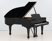 Steinay Model A  615587 - 2D image