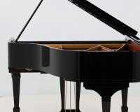 Steinay Model A  615587 - 2D image