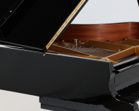 Steinay Model A  615587 - 2D image