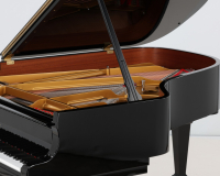 Steinay Model A  615587 - 2D image