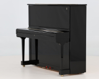 Steinway K 579140 - 2D image