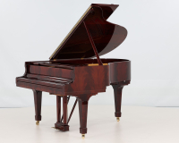 Steinway M 492009 - 2D image