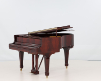 Steinway M 492009 - 2D image