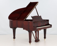 Steinway M 492009 - 2D image