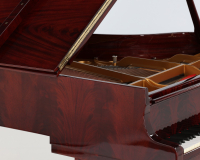 Steinway M 492009 - 2D image