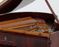 Steinway M 492009 - 2D image