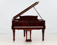 Steinway M 492009 - 360° presentation