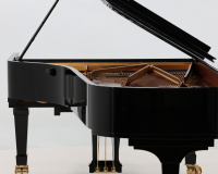 Steinway Model D 576649 - 2D image