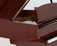 Steinway O 541600 - 2D image
