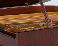 Steinway O 541600 - 2D image