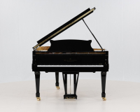 Wilh. Steinberg S-188 - 360° presentation