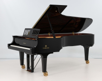 Yamaha CFX - 2D image