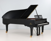 Yamaha CFX - 2D image