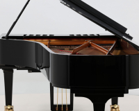 Yamaha CFX - 2D image