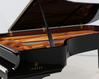 Yamaha CFX - 2D image