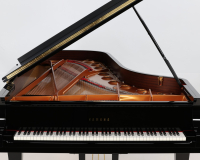 Yamaha CFX - 2D image