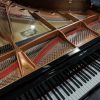 New Yamaha C6X Grand Piano