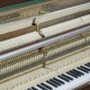 Bentley upright