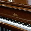 Steinway Boston 178 Polished Walnut