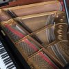 Steinway M Grand