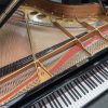 Used Steinway Model O Grand
