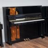 Steingraeber 130 T-PS upright with optional twist and change