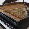 Inside the Steinway model M polished black